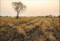 Famine