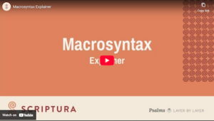 Macrosyntax video thumb.png