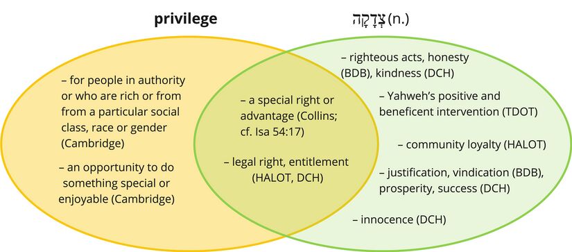 Privilege.jpg