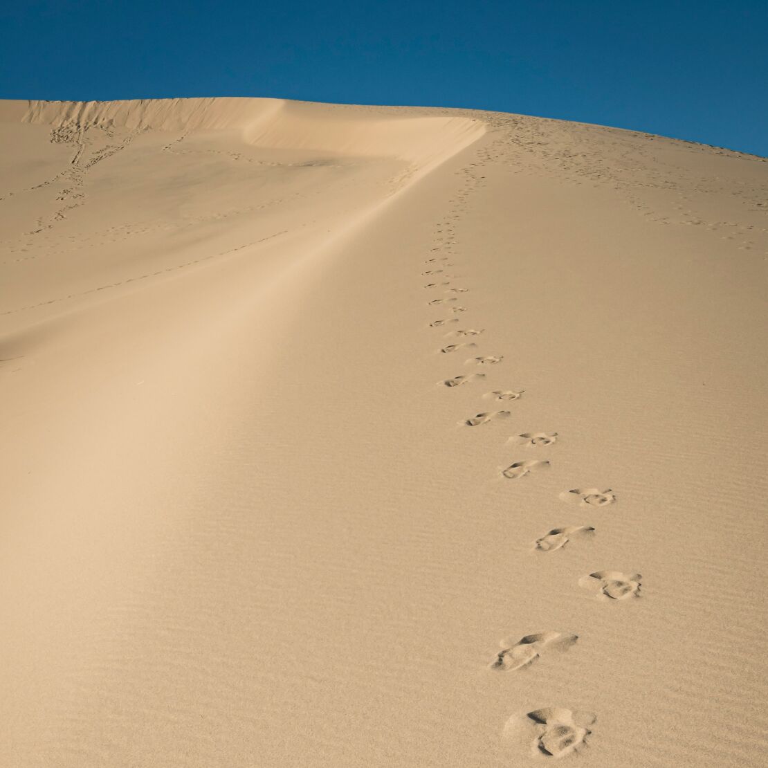 Psalm 95 banner image.jpg